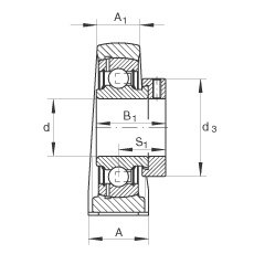 直立式軸承座單元 PASE20-N-FA125, 鑄鐵軸承座，帶偏心鎖圈的外球面球軸承，P 型密封，耐腐蝕保護(hù)