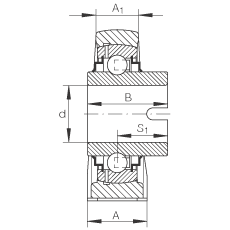 直立式軸承座單元 RASEL40-N, 鑄鐵軸承座，浮動(dòng)軸承，內(nèi)圈有驅(qū)動(dòng)槽，R 型密封